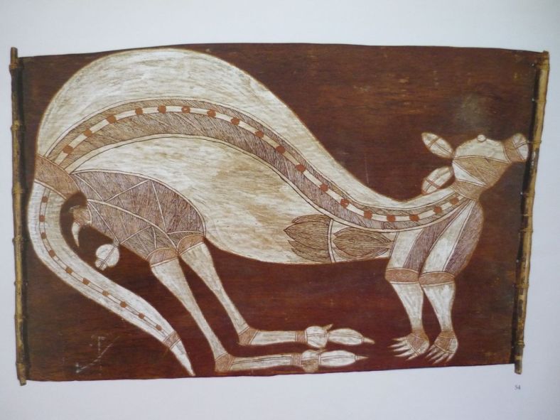 Australian indigenous art : X-ray style