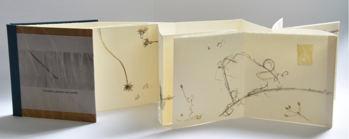 Cemetery Grasses and Weeds | Anne Riggs