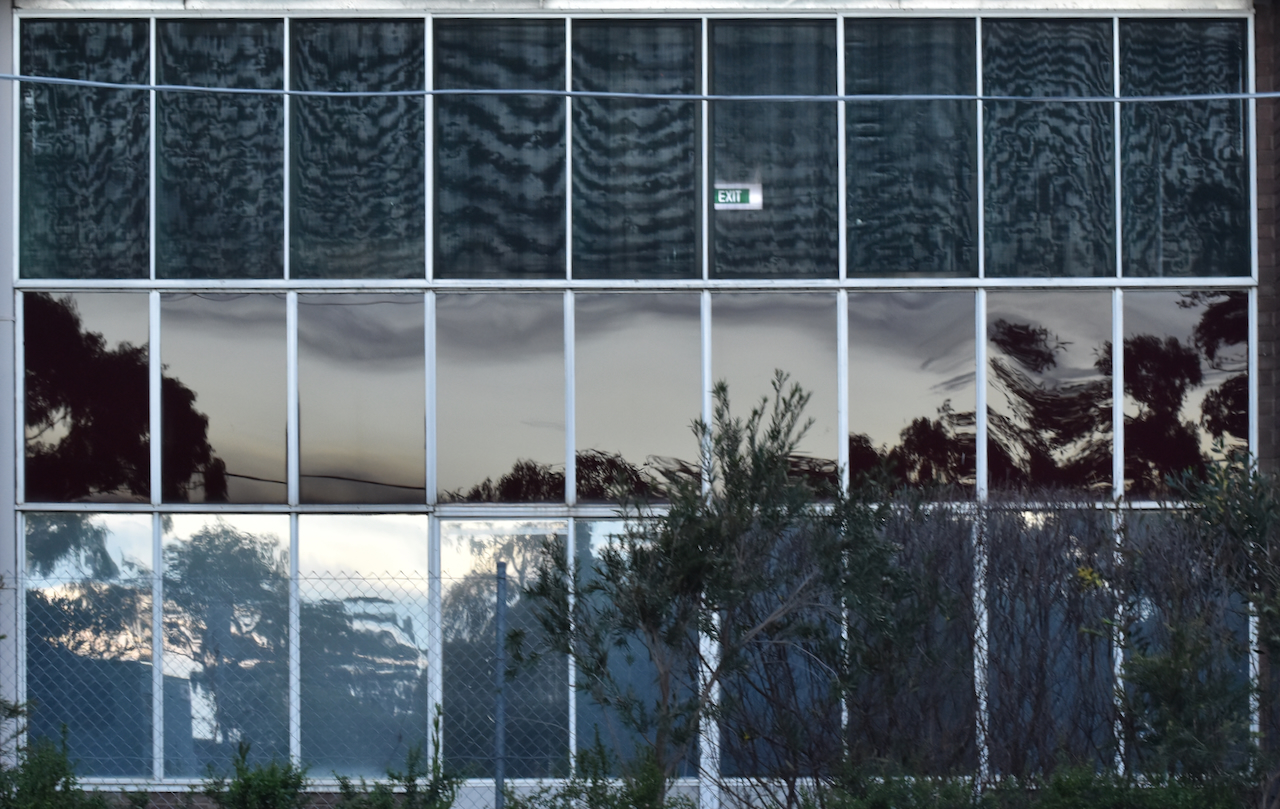 FENESTRATION artworks, Anne Riggs | Anne Riggs