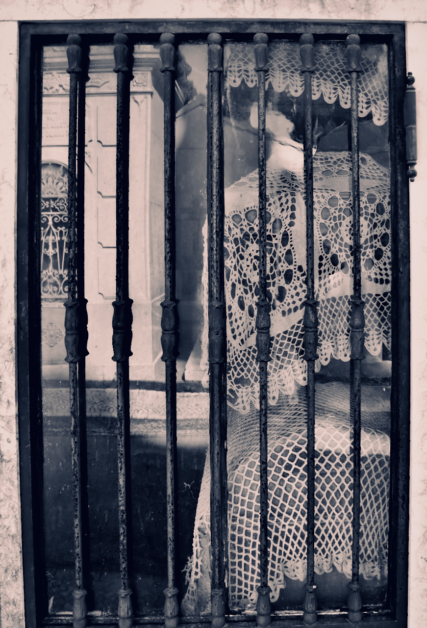FENESTRATION artworks, Anne Riggs | Anne Riggs